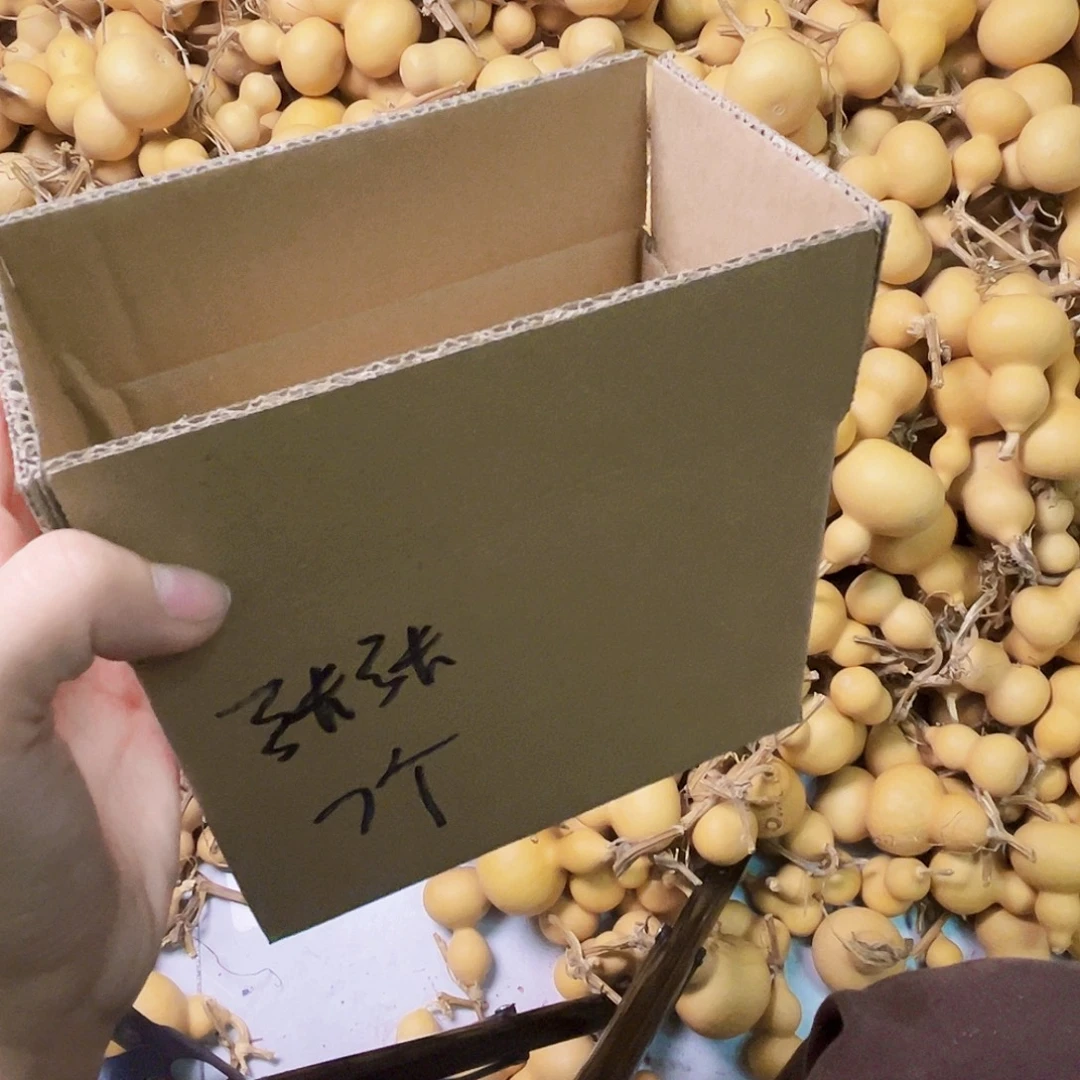 張****小美葫芦七个小葫芦