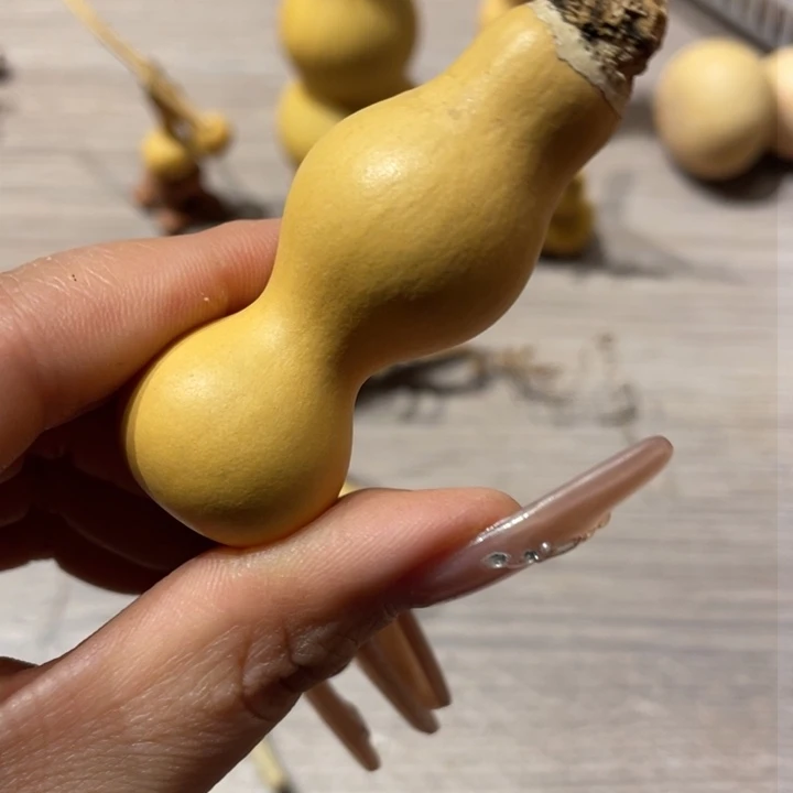 江*楠粗嘴葫芦粗嘴葫芦