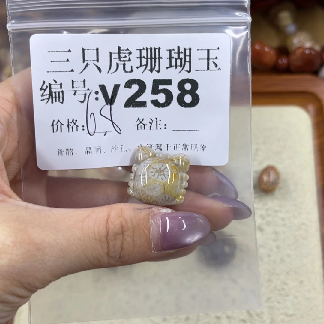 无***念硅化珊瑚（珊瑚玉）未镶嵌h