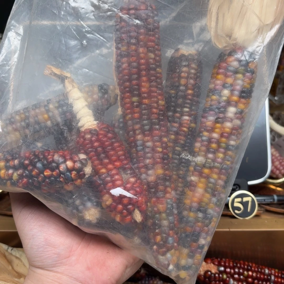 柏香籽/百香籽吊坠性****?