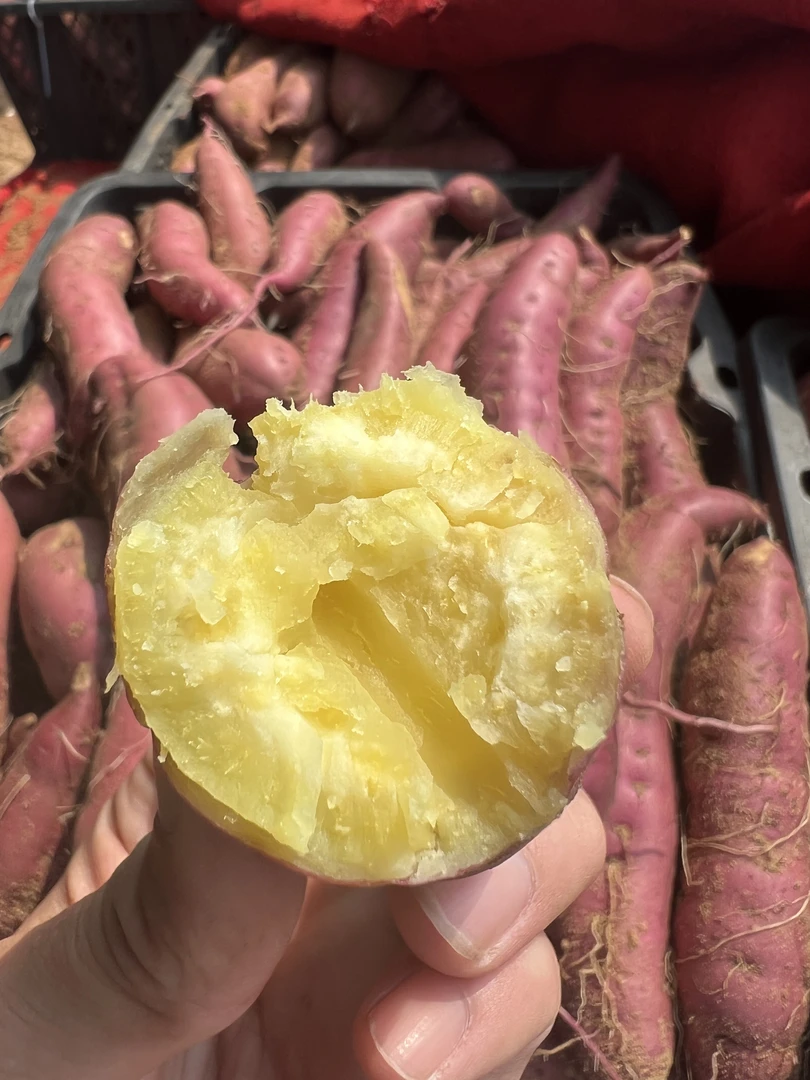 海南澄迈桥头瓜粉糯香甜食用皮薄口感5斤
