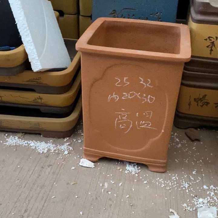 花盆紫砂只顾看你的