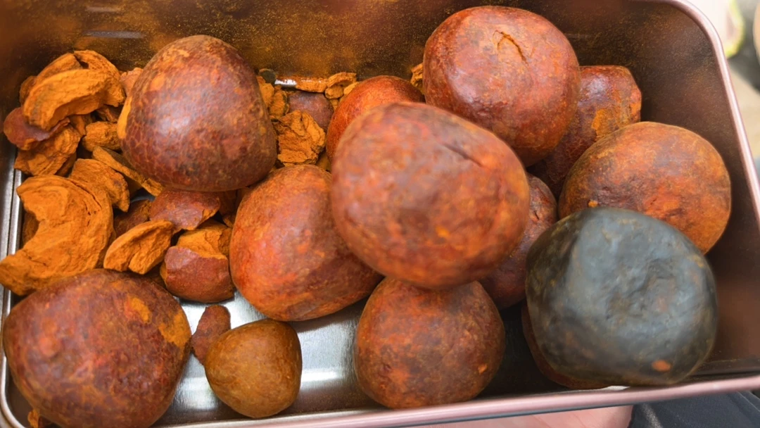 土特产-䒜-黄-非菇