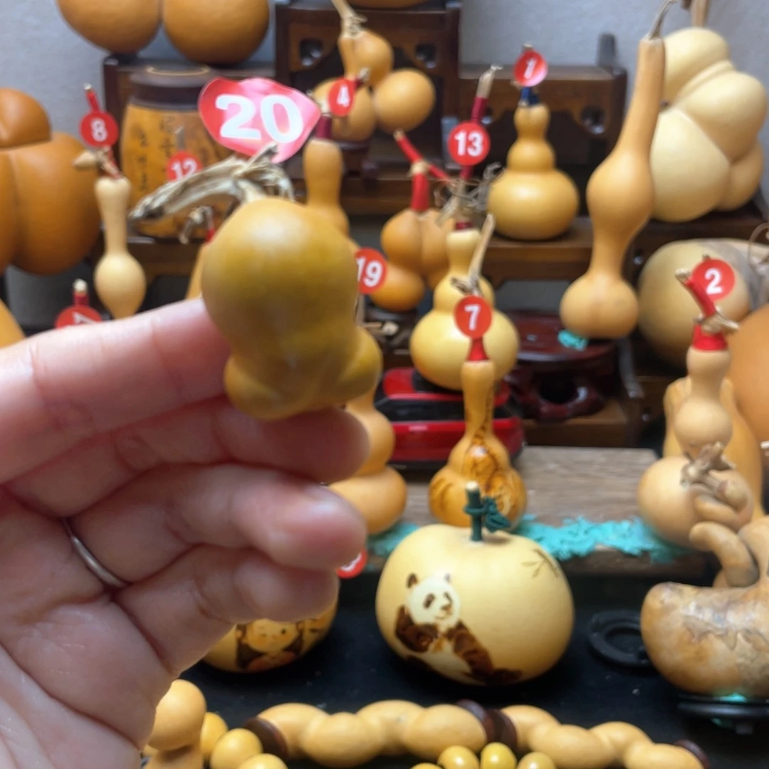 @***洋大自然的秘密第十一节你是谁