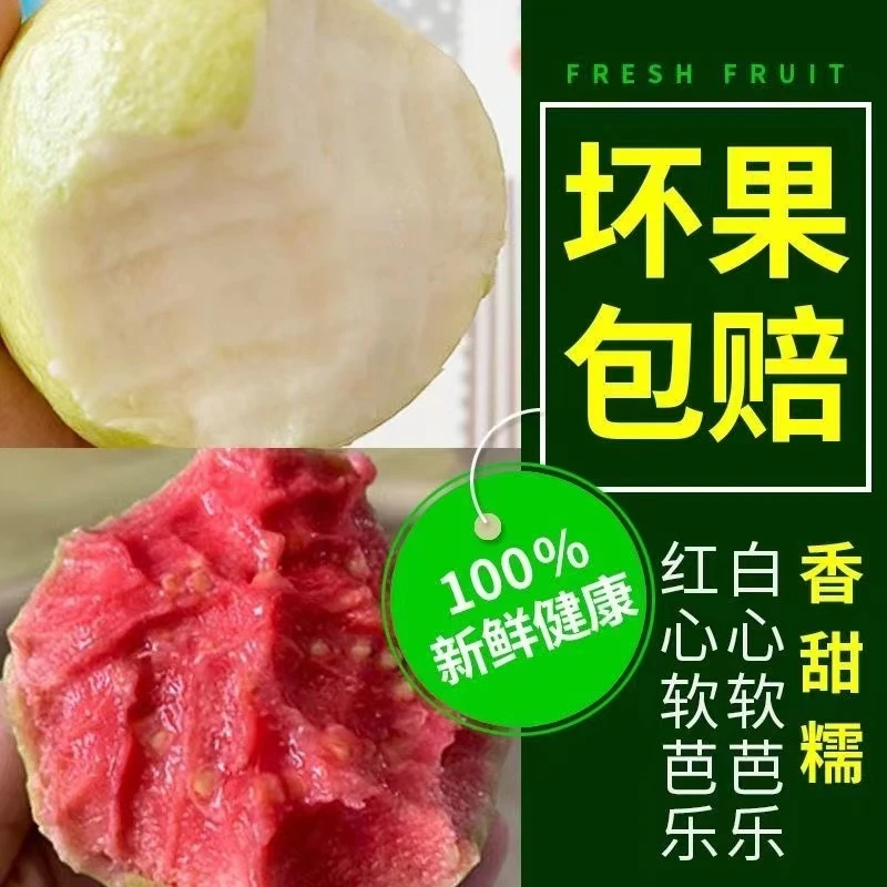 【双拼红白混搭】广西红心白心番石榴新鲜水果软芭乐净重3/5斤