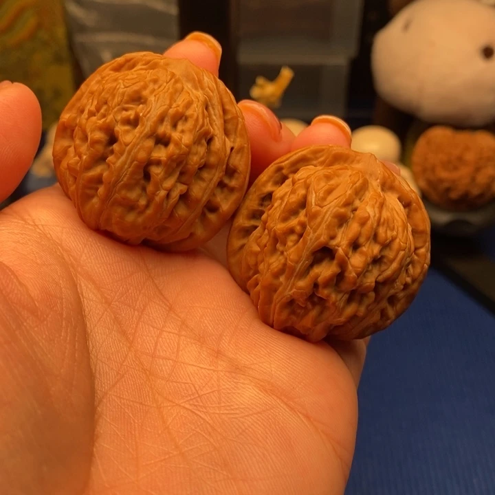 核桃38尺矮壮楼子