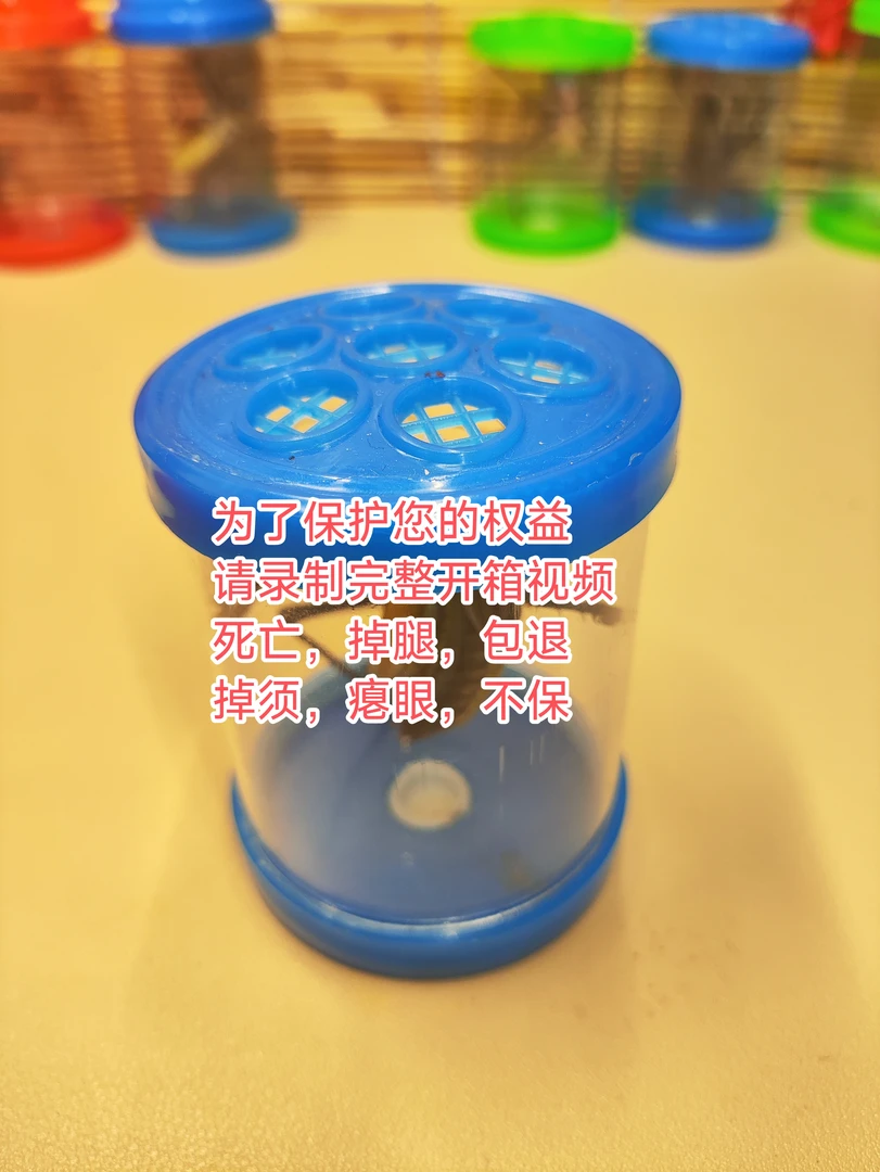 (新手套餐)一个塑料叫罐,送蝈蝈,颜色随机发,指定请备注