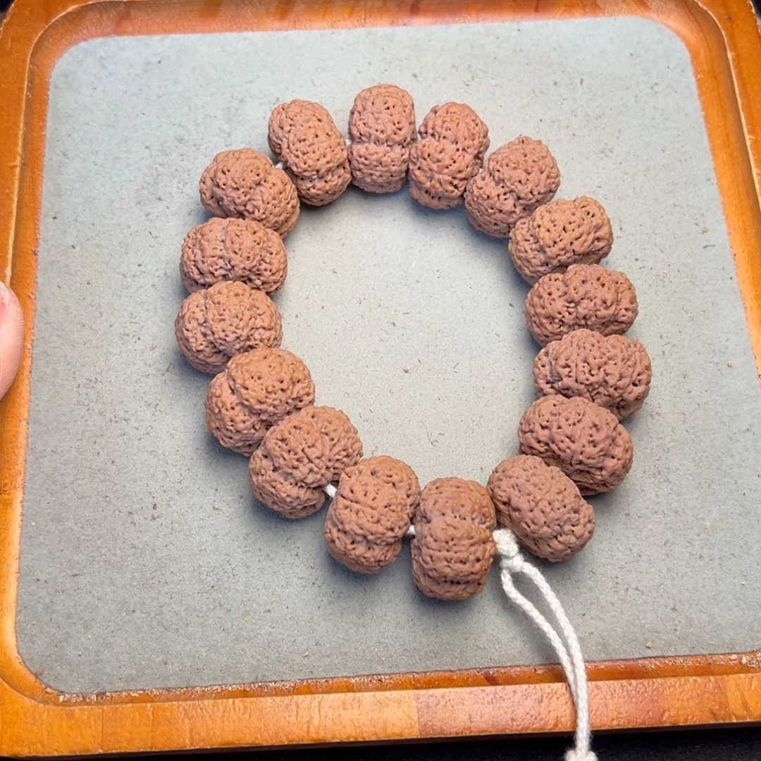 菩提34号金刚菩提菠萝蜜夹板26