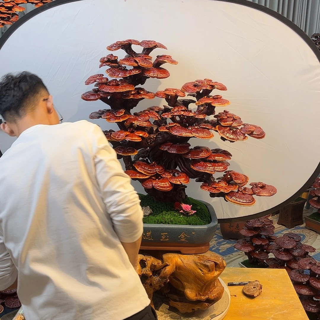 无花朵888888888888