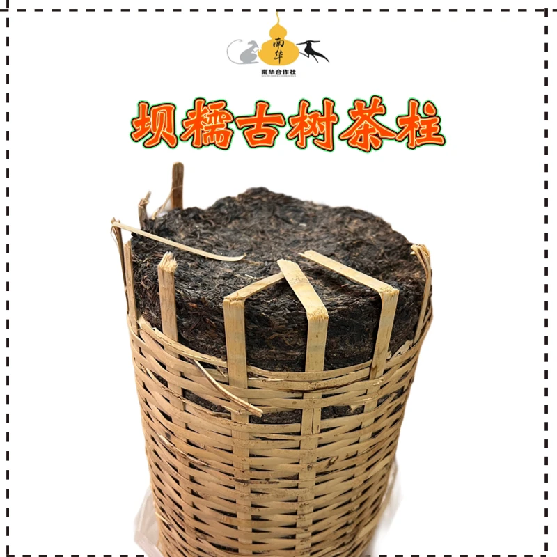 坝糯古树纯料茶柱·普洱茶生茶