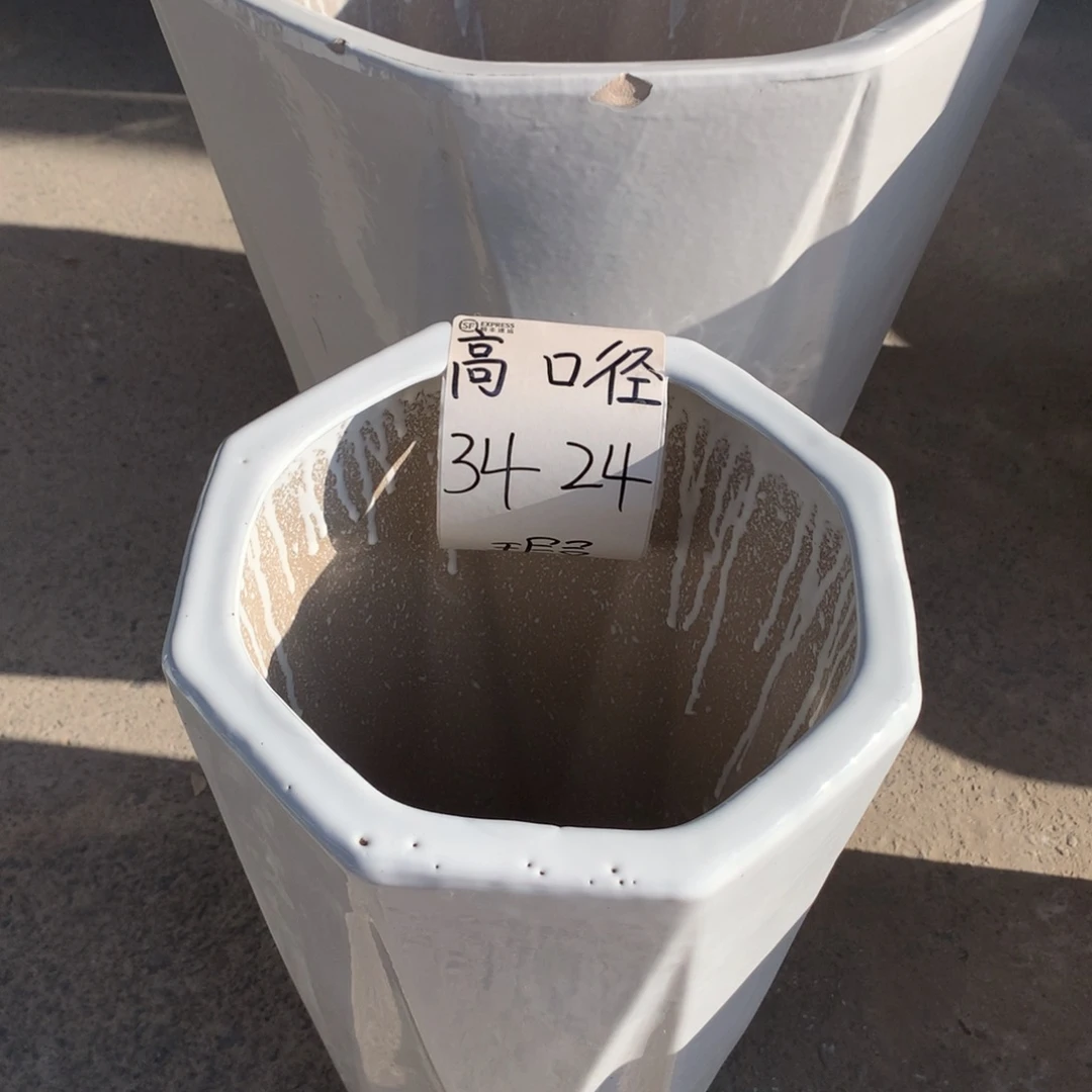 花盆里的小猫咪们都