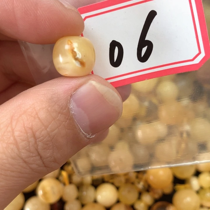 裸石琥珀未镶嵌11.7