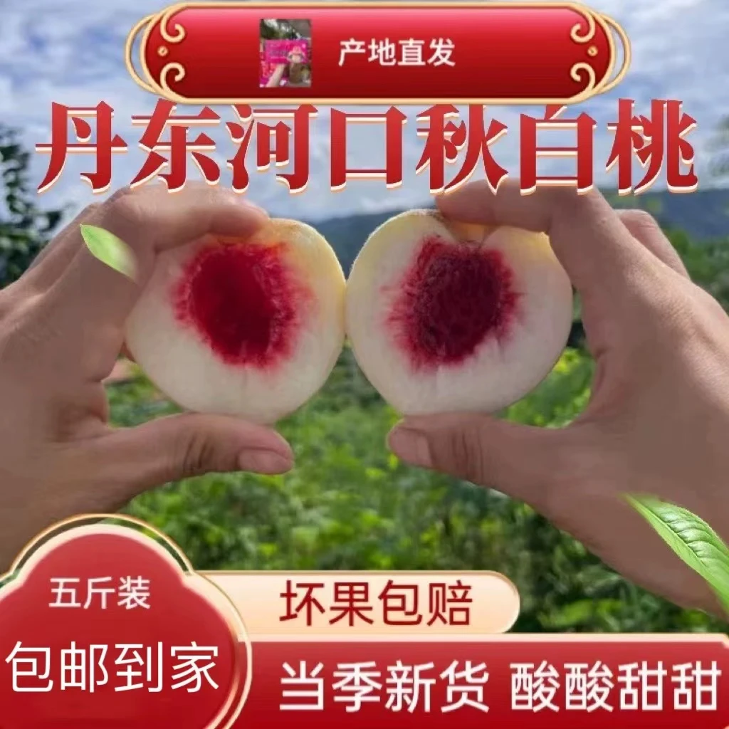 【小时候味道】丹东特产河口秋白桃毛桃酸酸甜甜