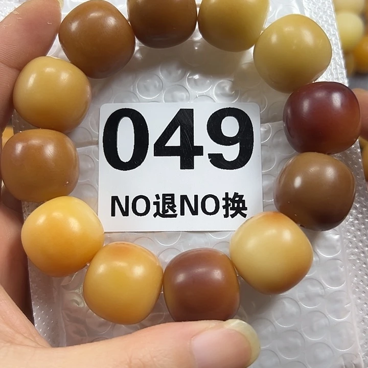 吊坠菩提根/象牙果