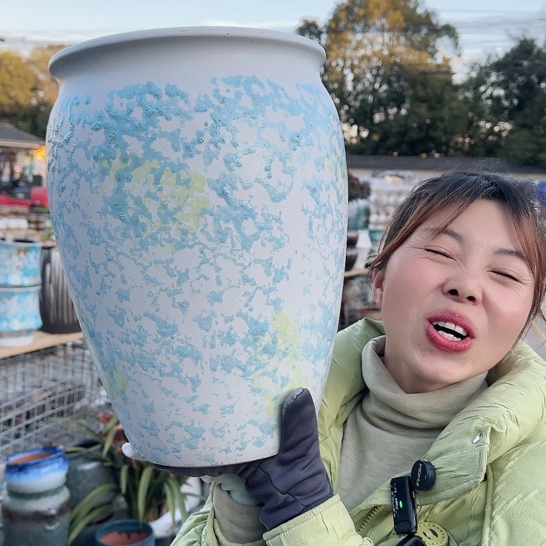 王嫂花盆直播1204-321高35口25