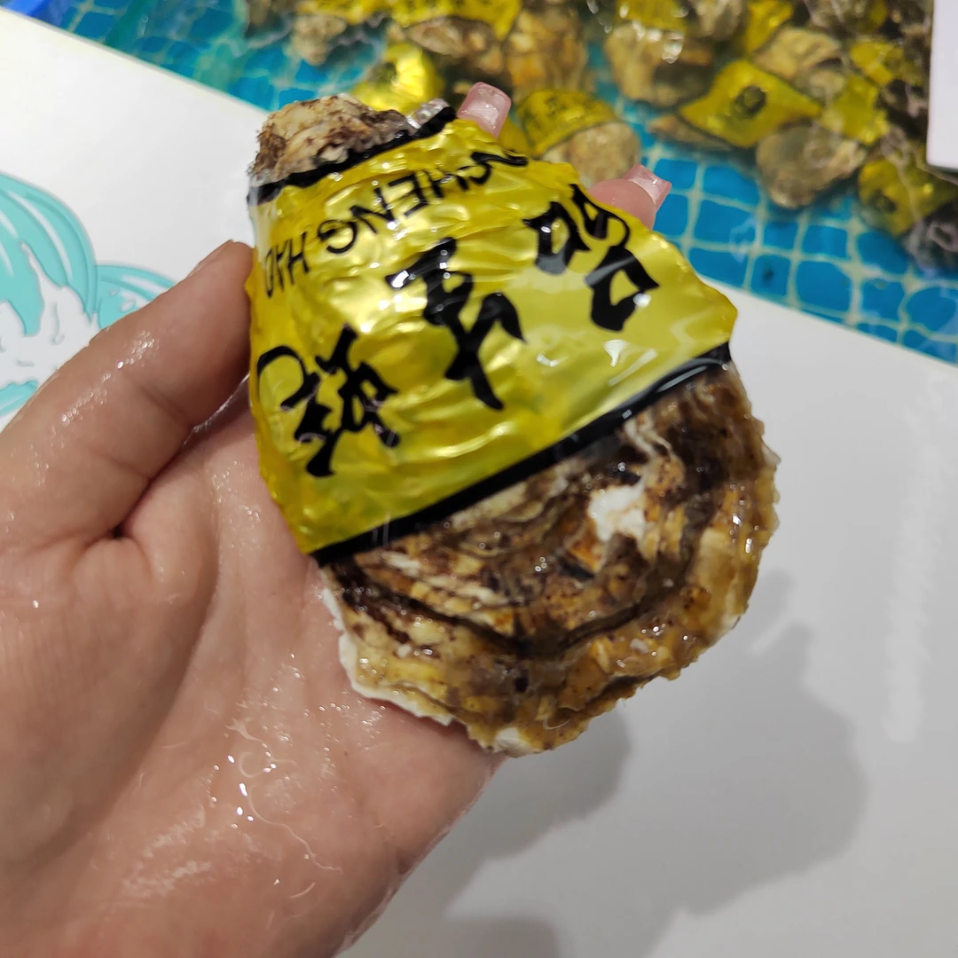 【保鲜不保活】乳山冷水肥蚝（约3两/只）免费撬壳 8只