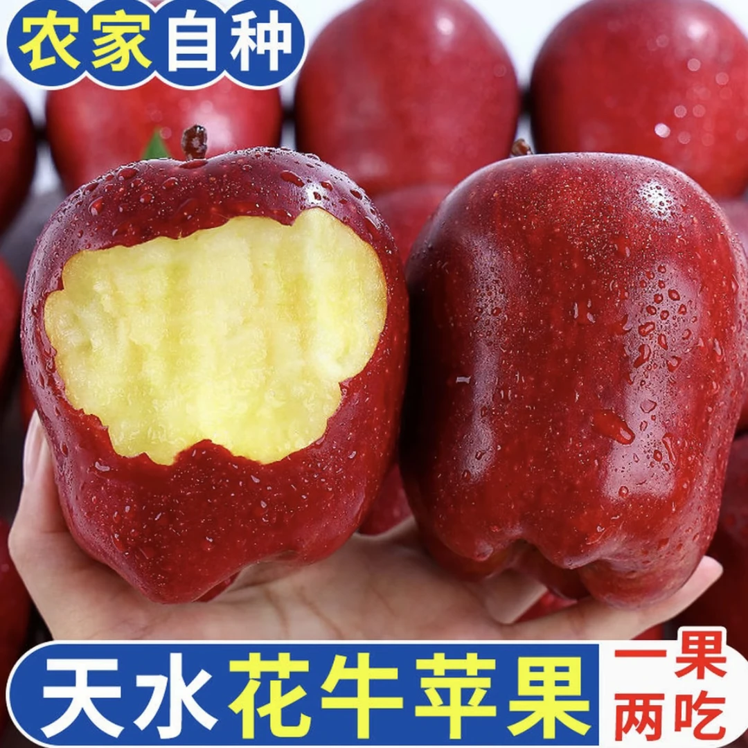 【到手16-20个】甘肃天水花牛苹果脆粉两吃当季新鲜红蛇果RX