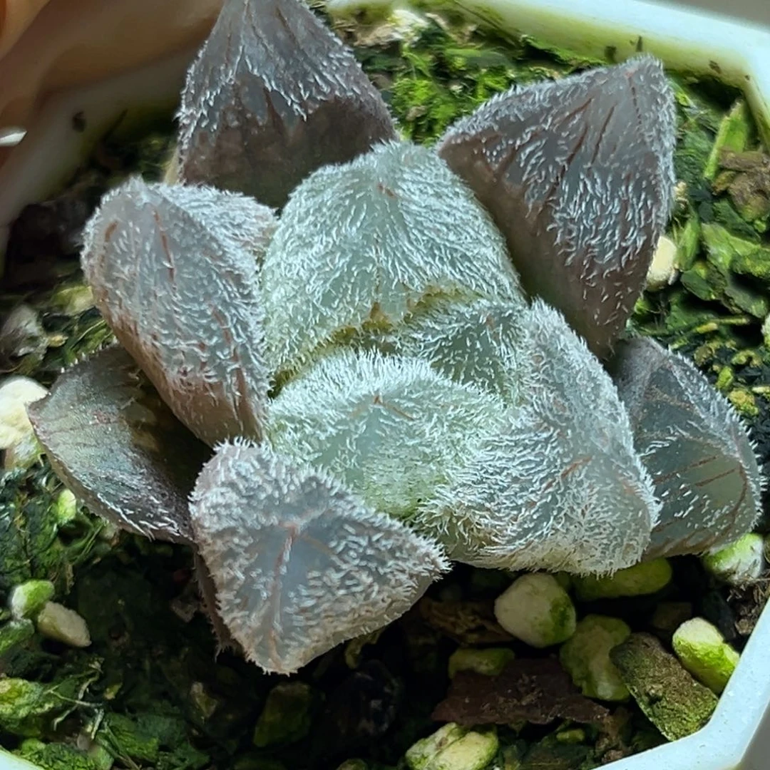 恭喜发财大吉大利840