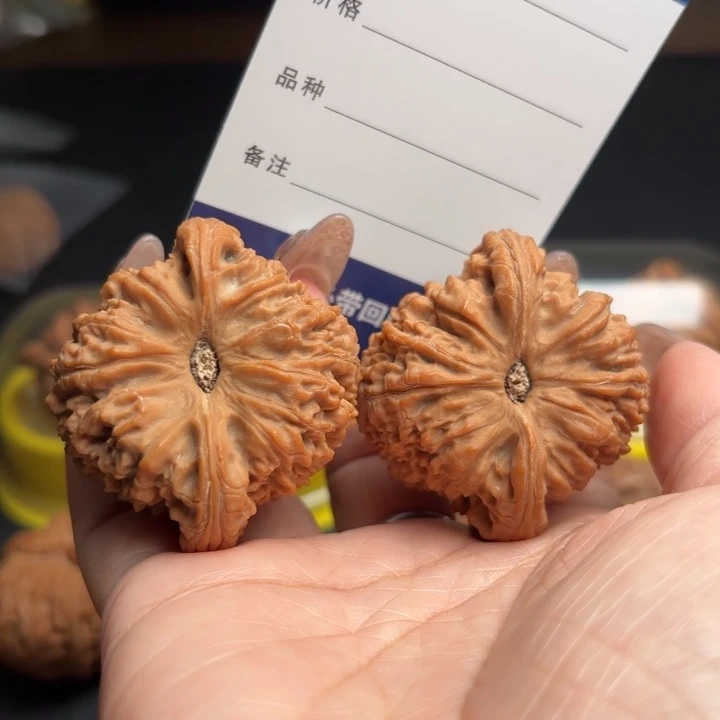 占***王桃核吊坠46南疆石