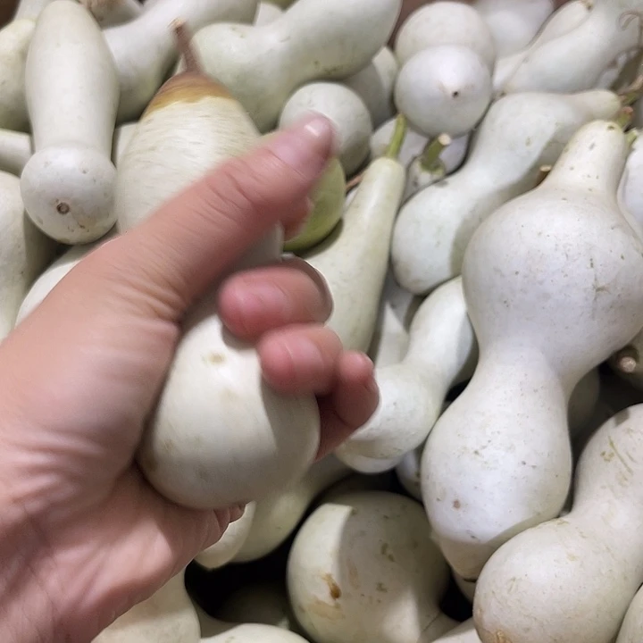 大果紫檀（缅甸花梨）用****6