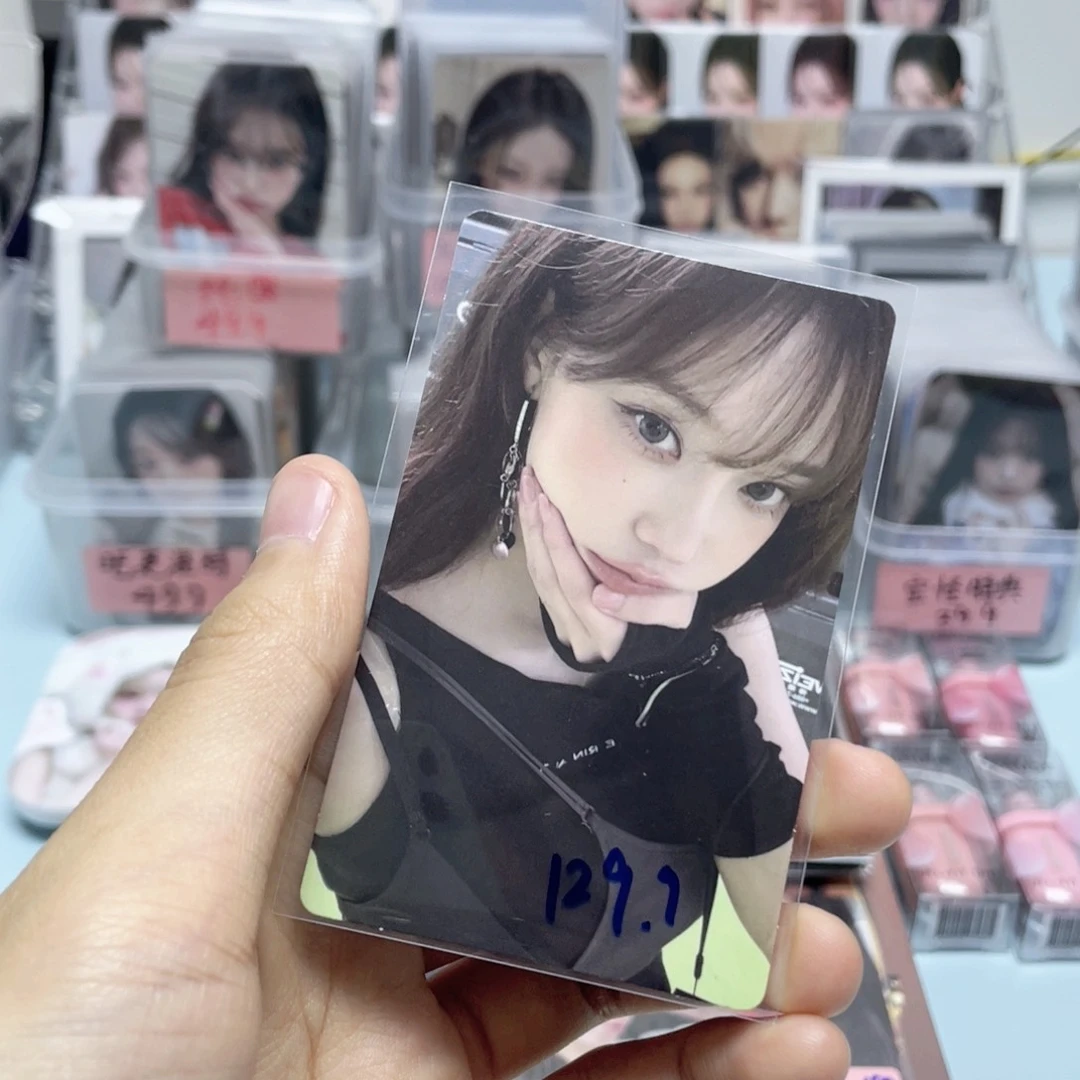 金冬天wvs特典直拍