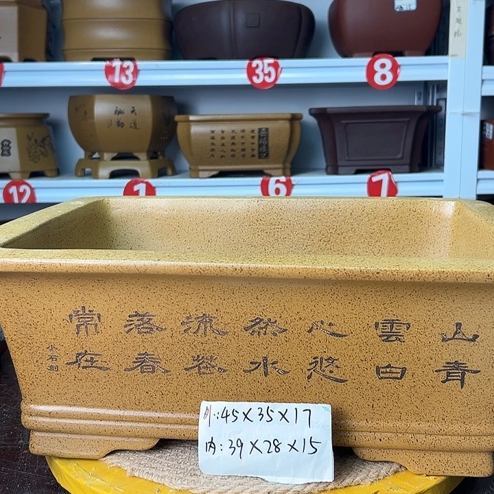 花盆紫砂你在一起