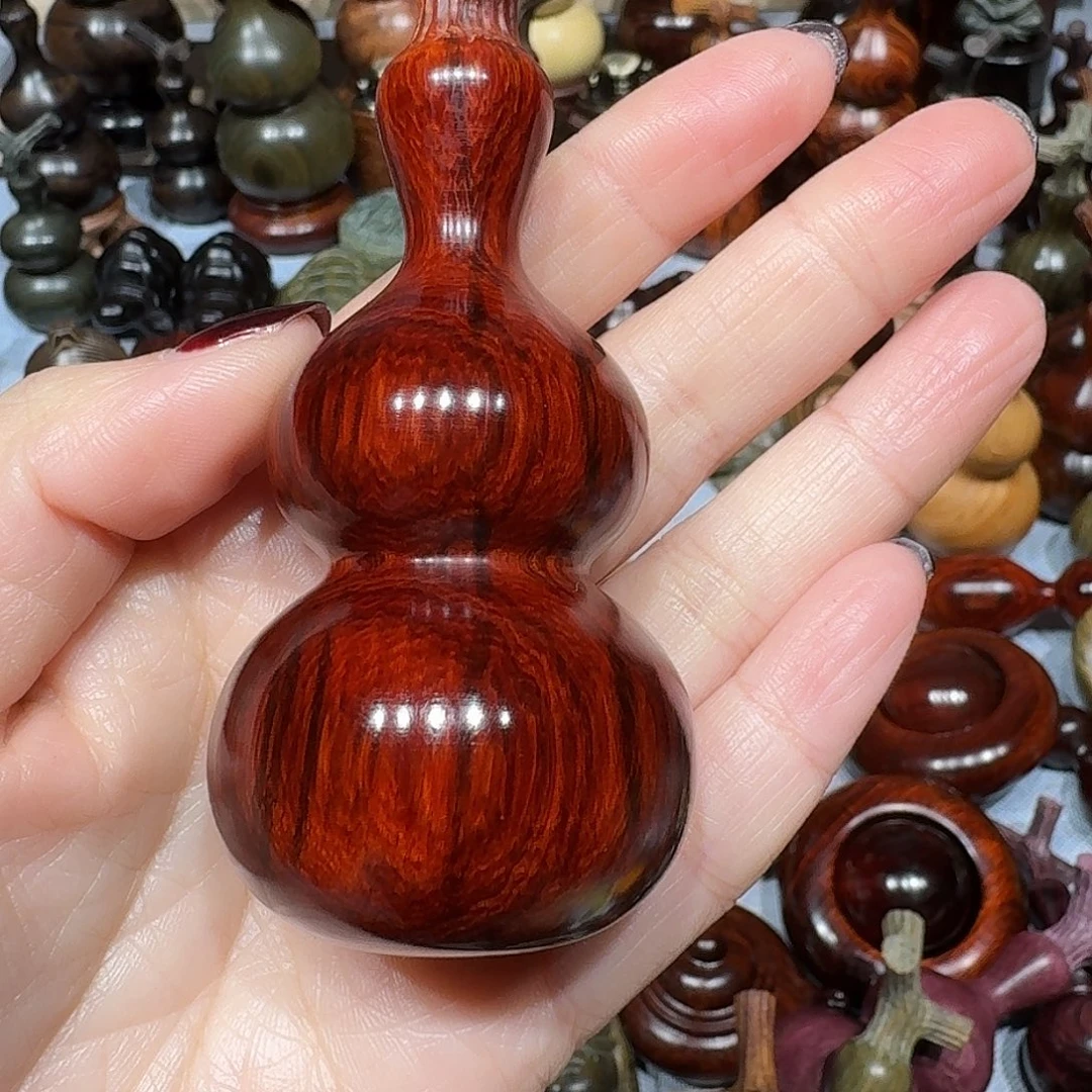 凤***鸣香榧木东非小叶直径4葫芦