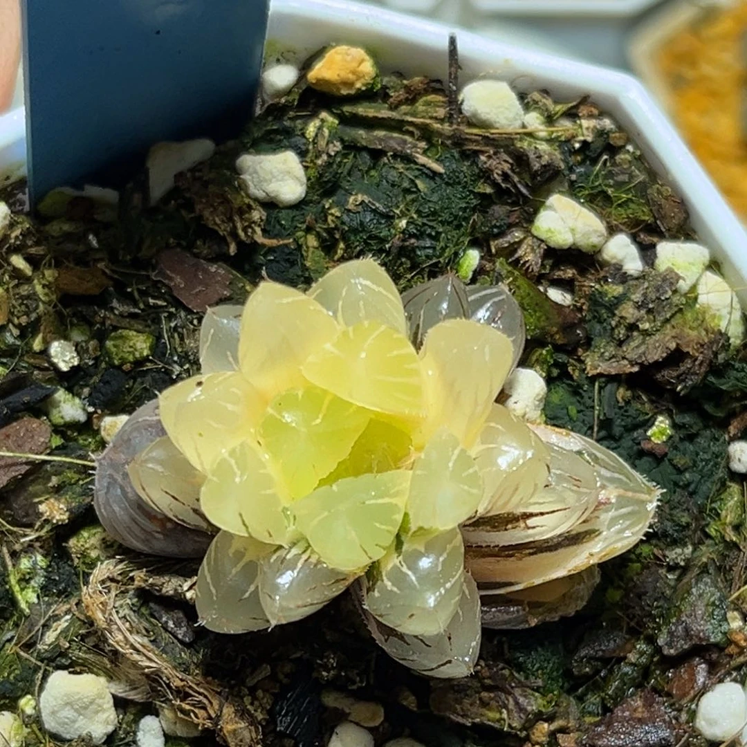 恭喜发财大吉大利768