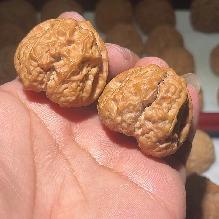 木40三角蛤蟆头。