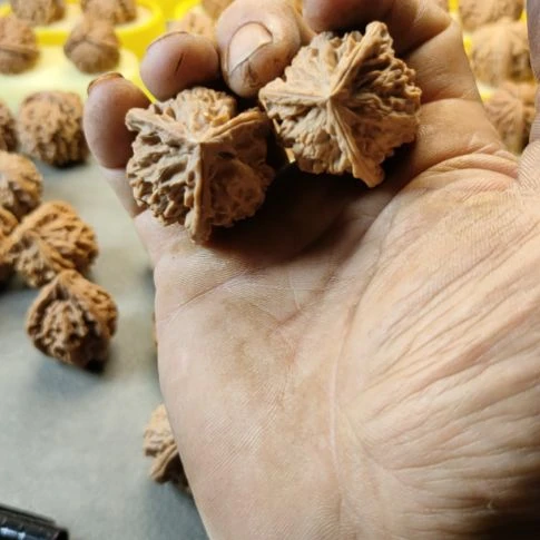 木质类盘山三棱核桃37