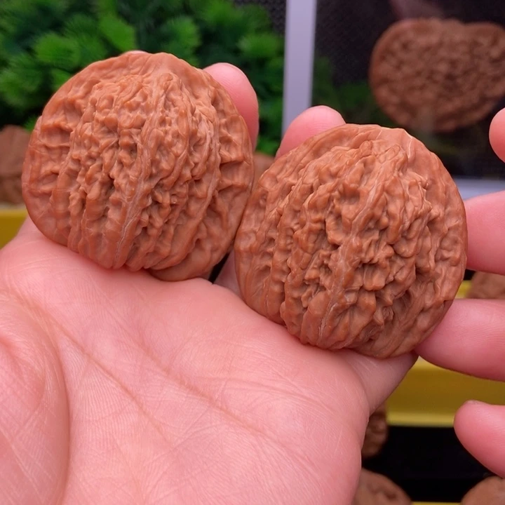 三角楼43全品111111