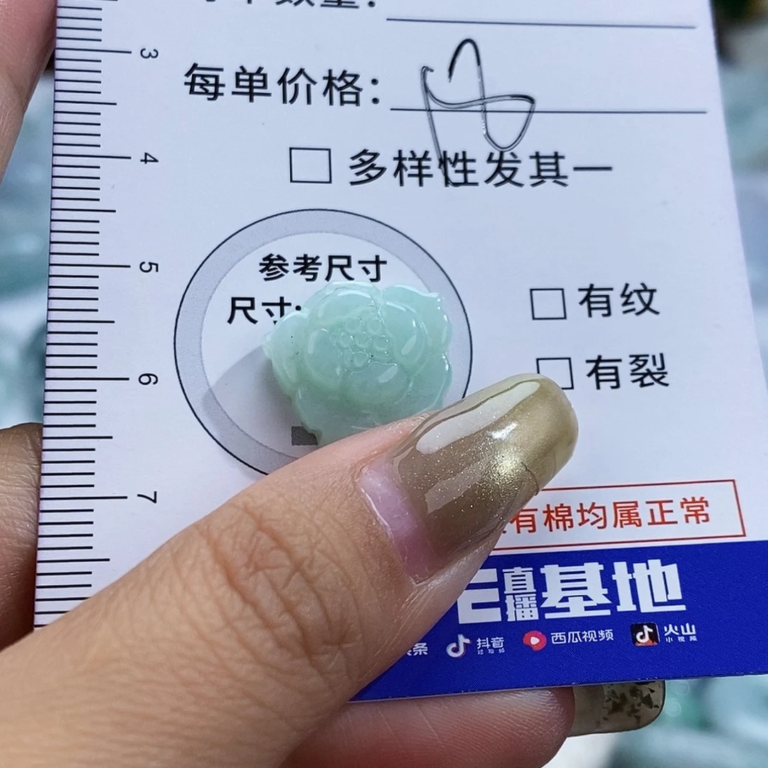 翡翠未镶嵌颈饰5085
