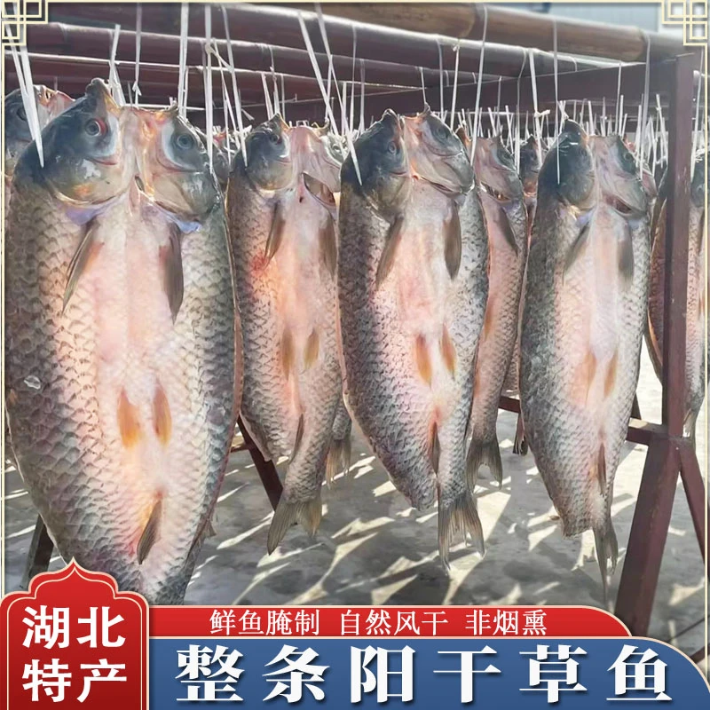 湖北特产整条阳干草鱼淡水咸鱼农家自晒腌制草鱼腊鱼非烟熏