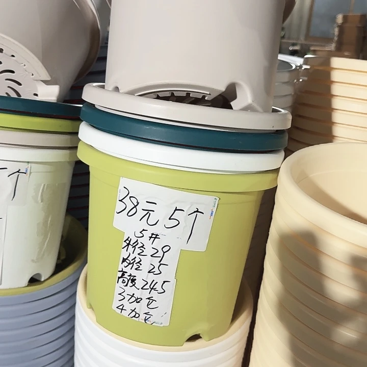 四季5#口径29灰白5个无托