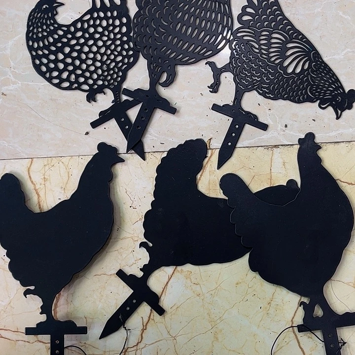 斌*姐户外园艺孤品盆栽花卉