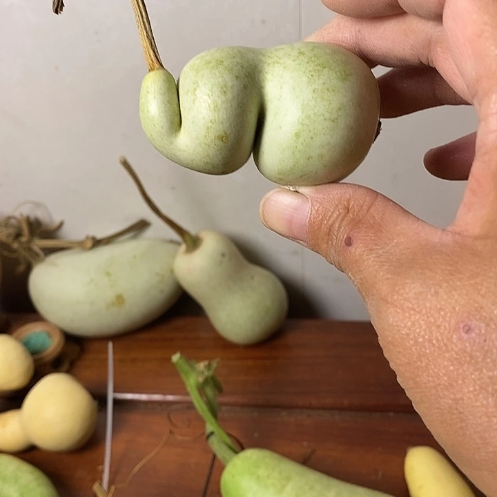 *****青皮小象葫芦手把件