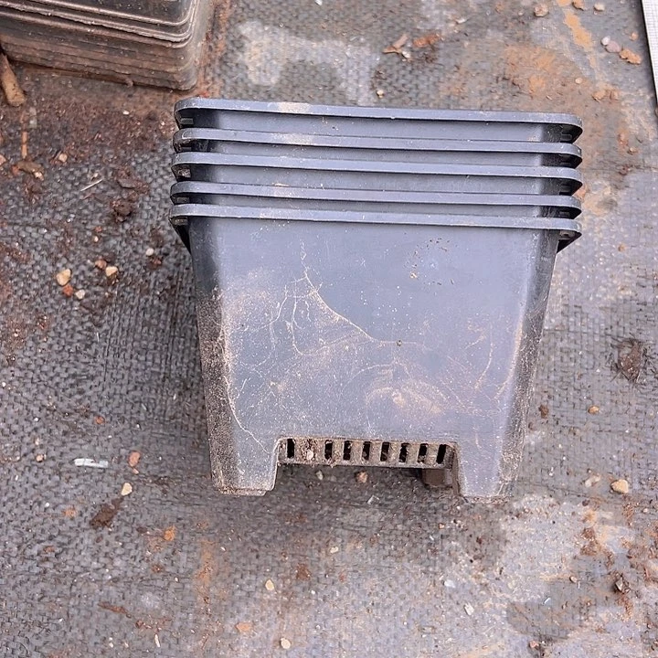 黑方口径14发16个