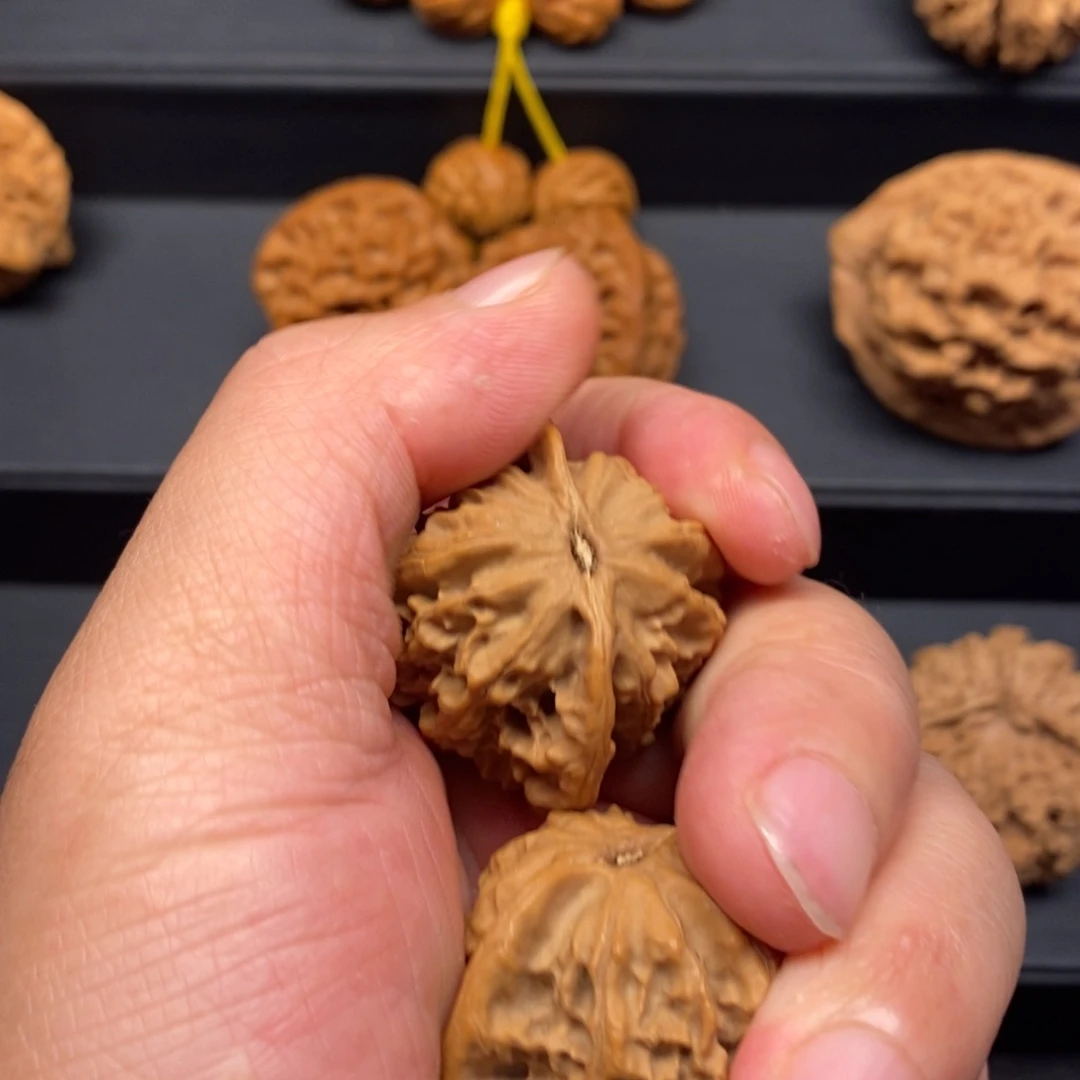 …*秦岭森林中发现过几