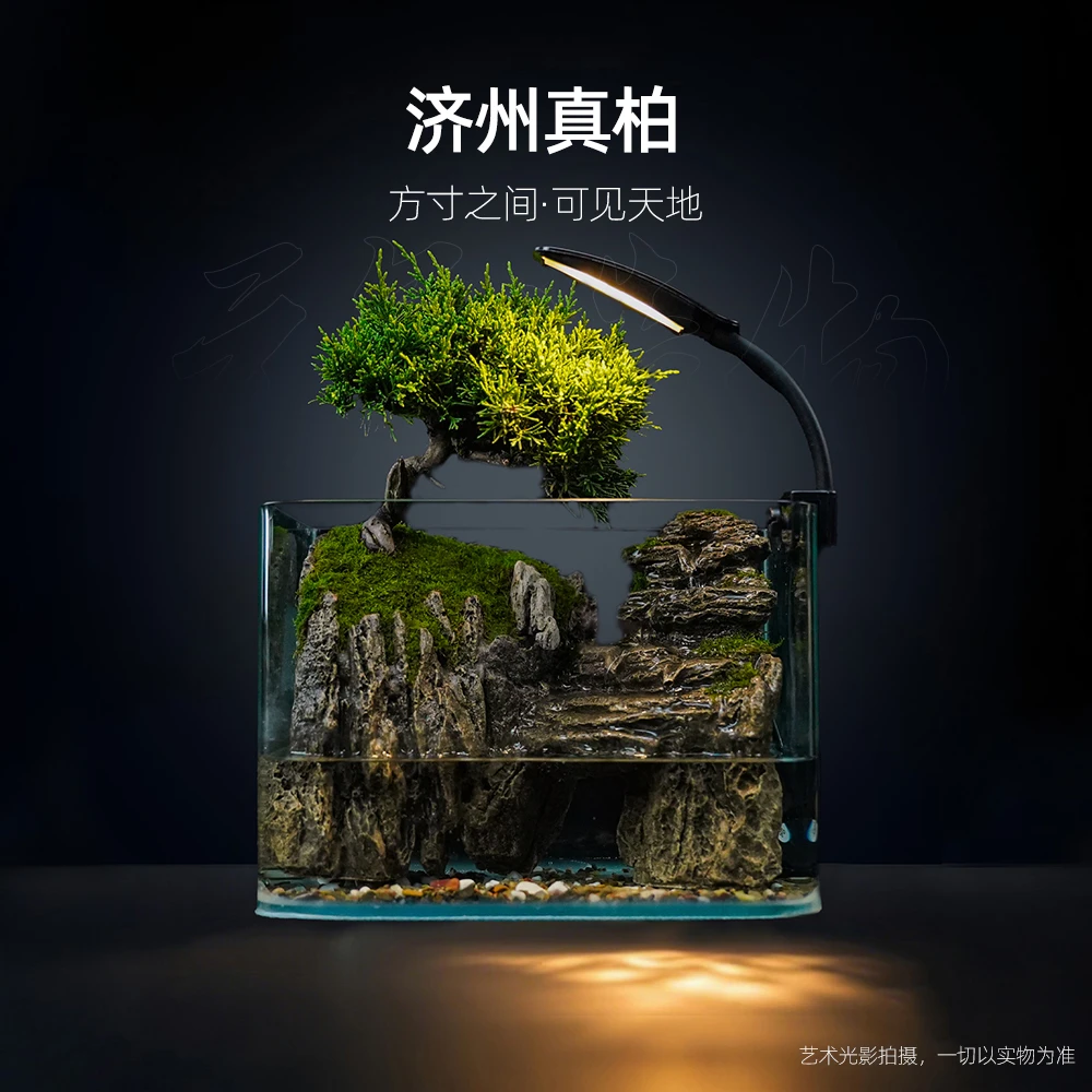 【新品】转山转水—带灯循环流水济州真柏中式造景【尺寸：25*16*18】