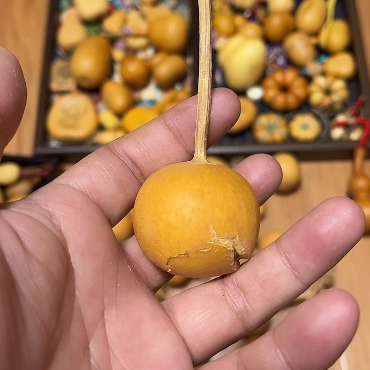 福利葫芦，天天开心