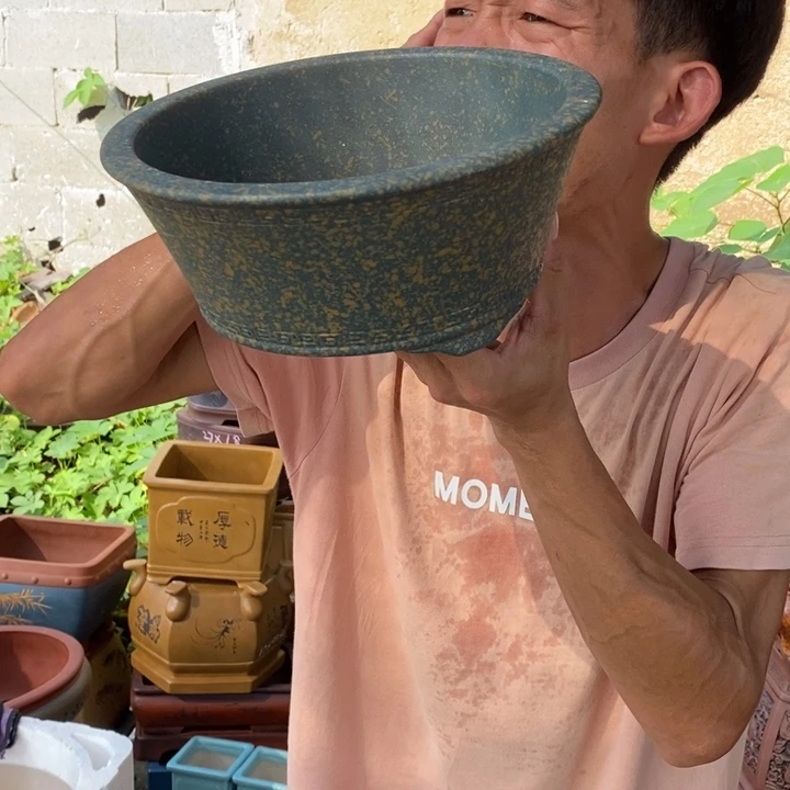 紫砂紫砂紫砂紫砂