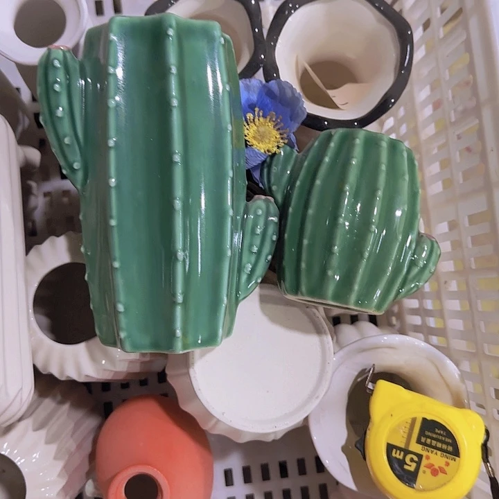 幺***幺仙人掌大小组合陶瓷