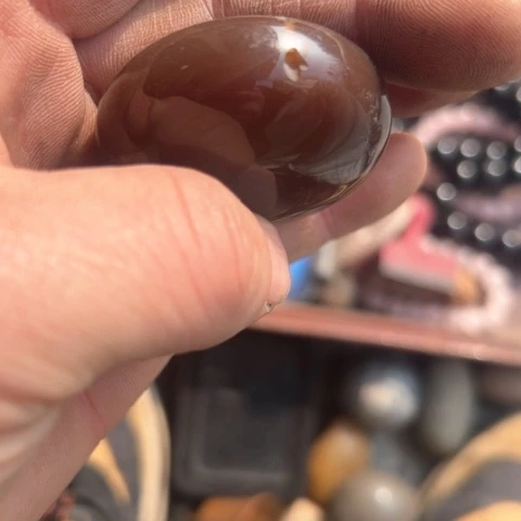 杂色豆（科檀/科特迪瓦檀木）青*萌