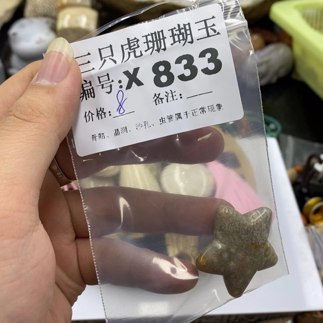 硅化珊瑚（珊瑚玉）X未镶嵌E****g