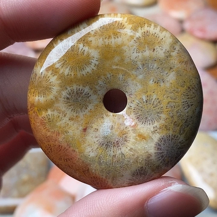 粘***粘硅化珊瑚未镶嵌颈饰