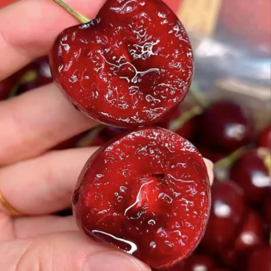 桑缇娜车厘子JD（爆品）新鲜水果