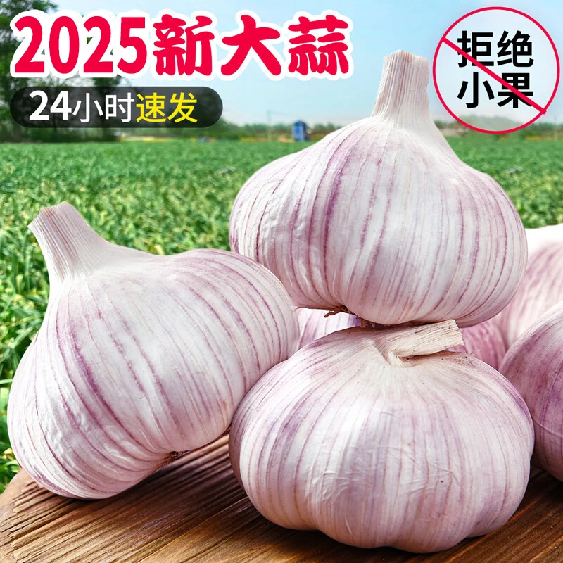 【大果】邮政山东金乡紫皮大蒜头新鲜紫白皮蒜可种金乡自种大蒜