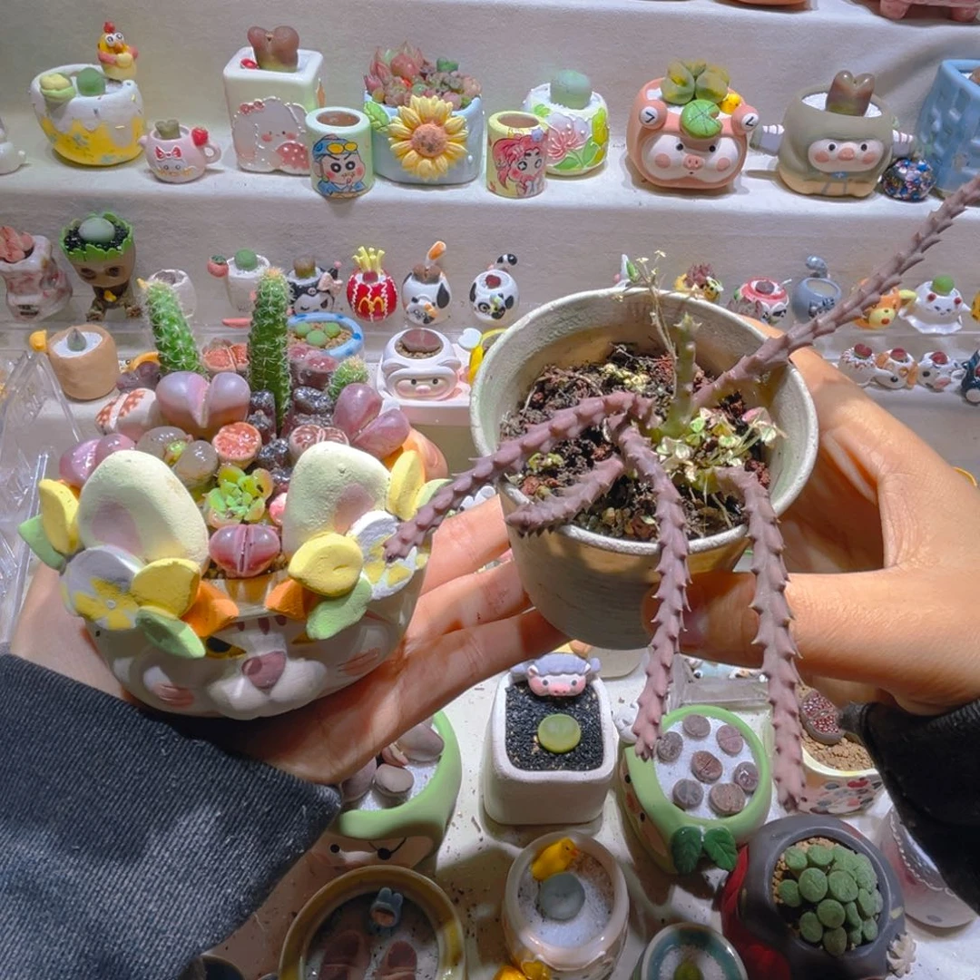 王**！大帅专属折扣链接拍拍