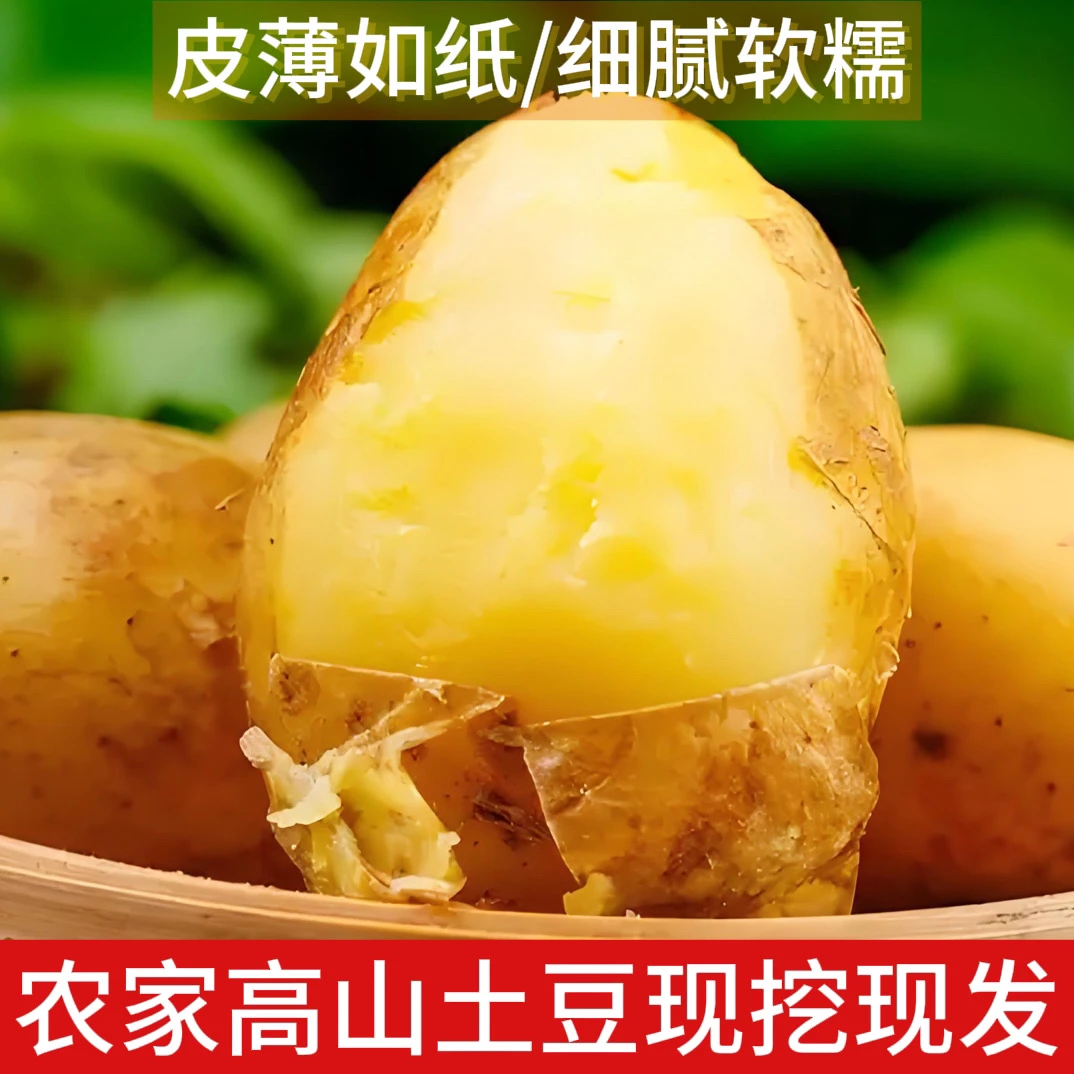 【高山小土豆】现挖新鲜脱皮土豆