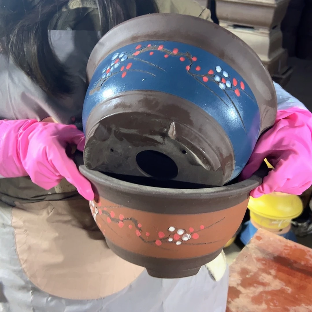 红富贵点菜大+蓝富贵点菜大